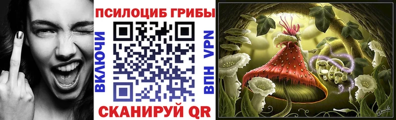 Псилоцибиновые грибы Magic Shrooms  цены наркотик  Ногинск 